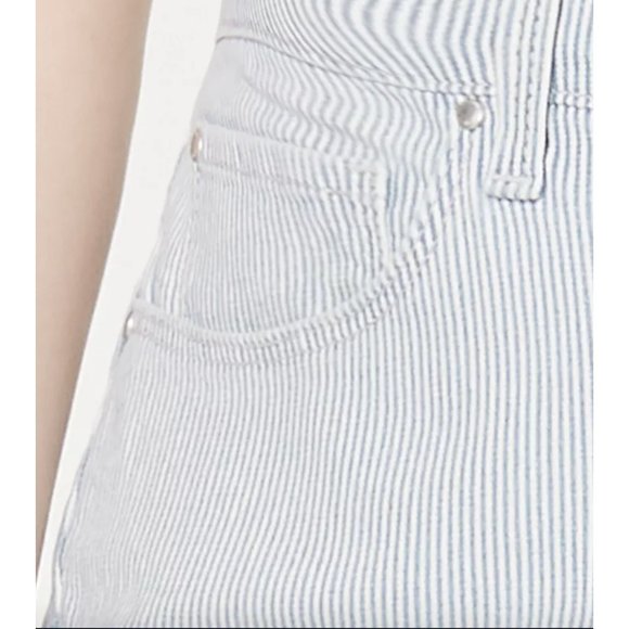 Charter Club Plus Size Railroad-Striped Skinny Ankle Jeans Sz 12 - Picture 6 of 8